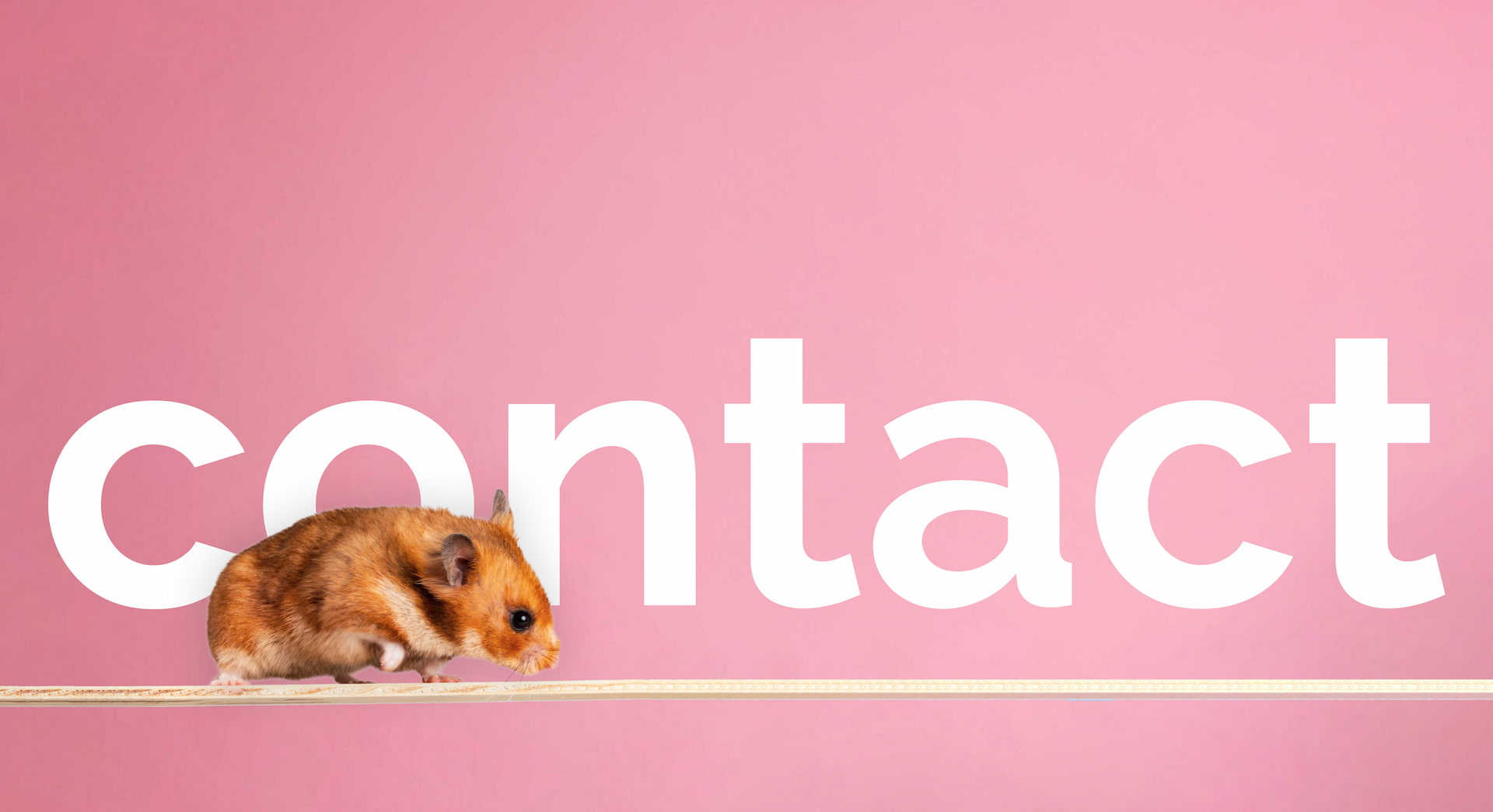 Contact Nature Nurture Pet Store