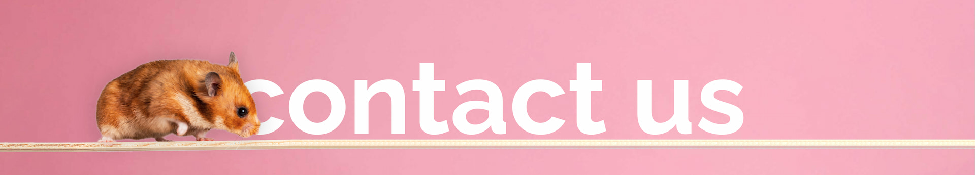 Contact Nature Nurture Pet Store